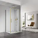 cabine-de-douche-pivotante-120-ou-140-x-70-80-90-ou-100-cm-dore-brosse-arena (1).webp