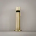 C1-GOLD-2.webp
