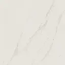 0e64a399-6cf4-4bd4-8c2e-227fcac49321.webp