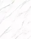 carrara.webp