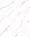 carrara.webp