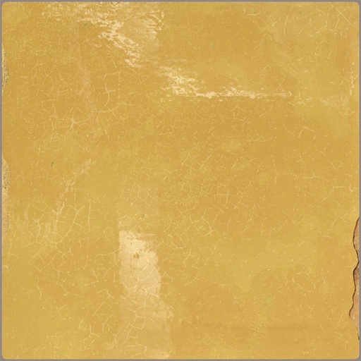 338941.jpg