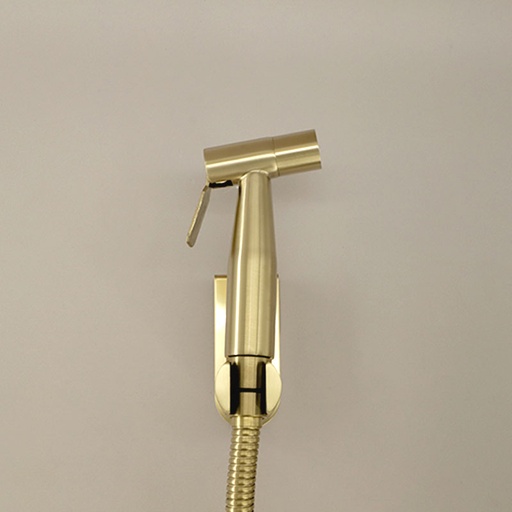 Douchette hygiénique Doré brossé, Châtelet