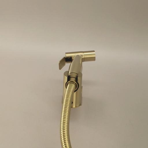Douchette hygiénique Doré brossé, Châtelet