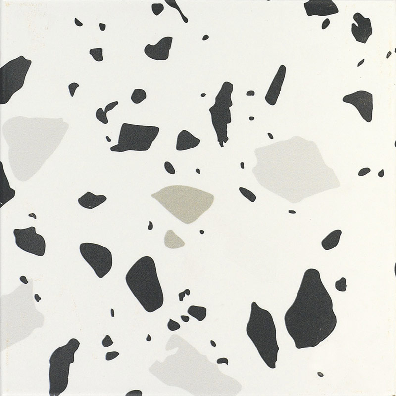 Carrelage sol et mur, 20x20 Trendy Black