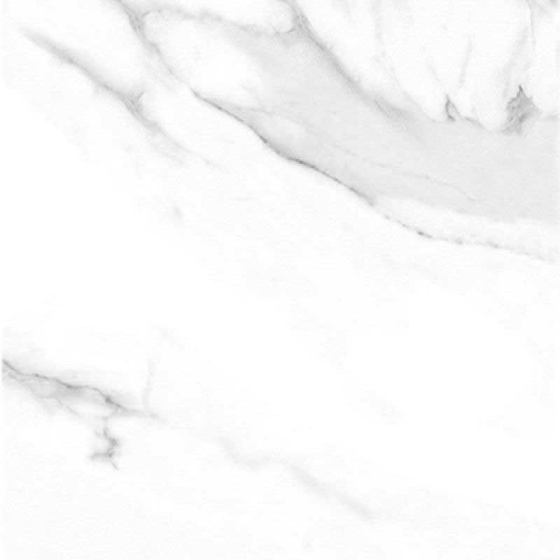 Carrelage mur 60x120 cm Porcelaine de Paris Marbre blanc