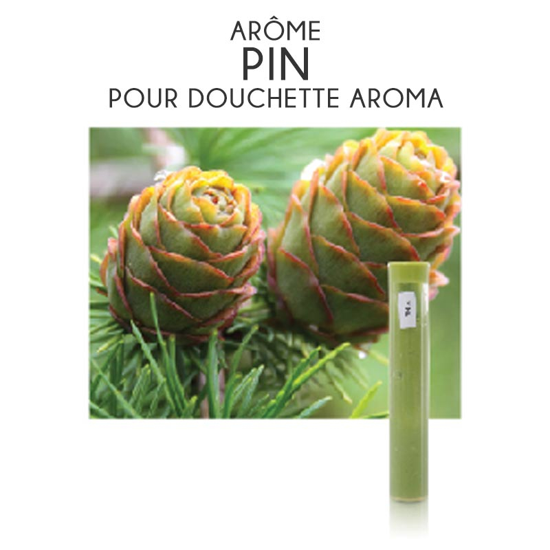 Filtre arôme Pin + Vitamine C pour douchette Aroma (boîte de 3)