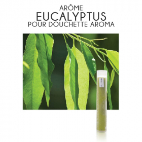 Filtre arôme Eucalyptus + Vitamine C pour douchette Aroma (boîte de 3)