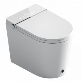 WC Japonais intelligent, E-Smart, Pose au sol