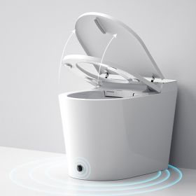 WC Japonais intelligent, E-Smart, Pose au sol - image 2