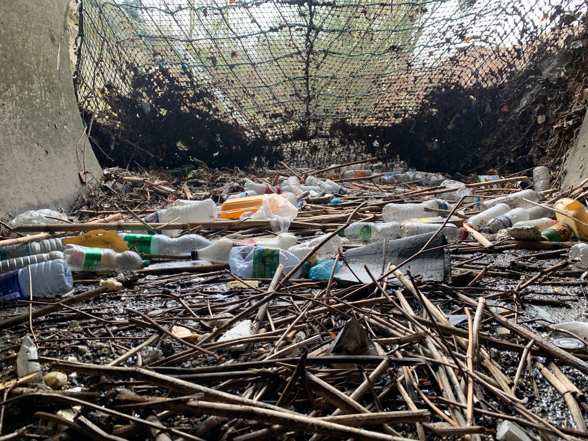 Déchets au sein du réseau, en train de se faire attraper par le filet - photo 1