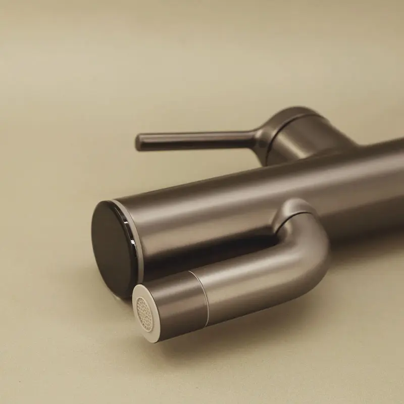 Mitigeur Lavabo Gun Metal Cactus 