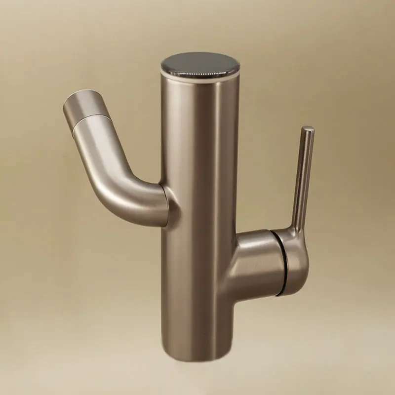 Mitigeur Lavabo Gun Metal Cactus 