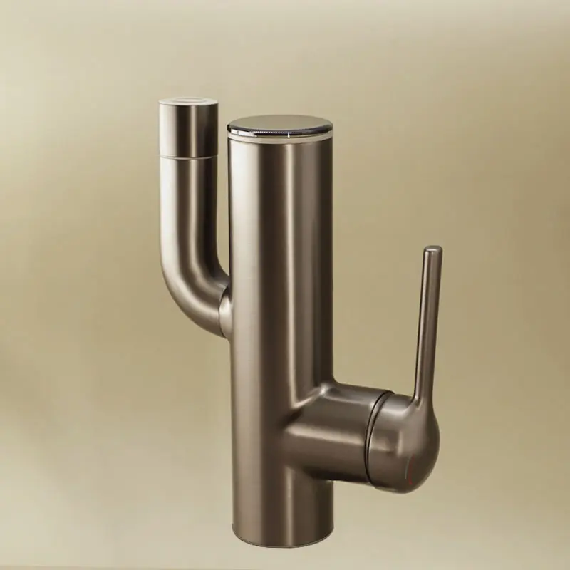 Mitigeur Lavabo Gun Metal Cactus 