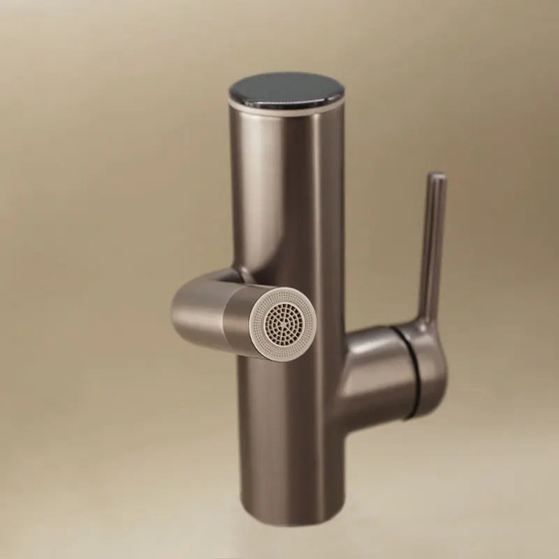 Mitigeur Lavabo Gun Metal Cactus 
