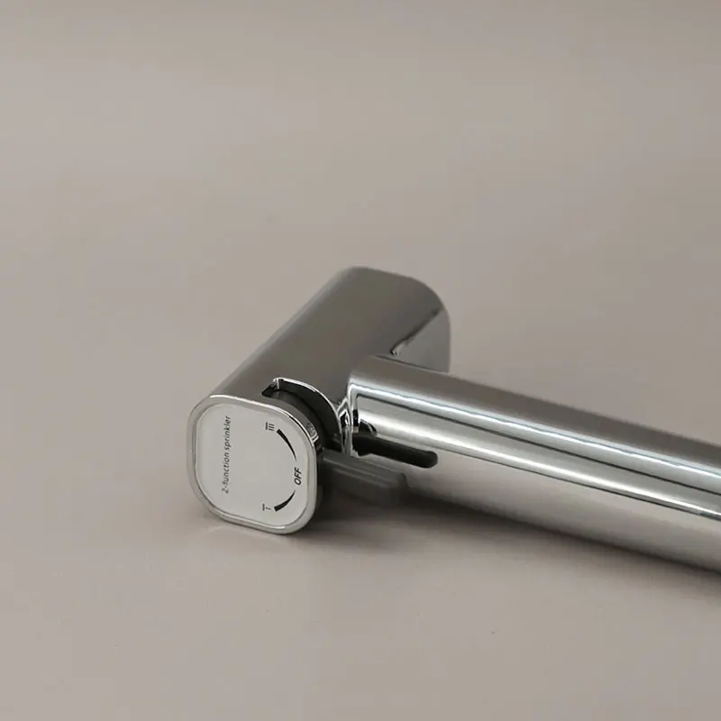 Set Douchette hygiénique avec porte rouleau Chrome Châtelet