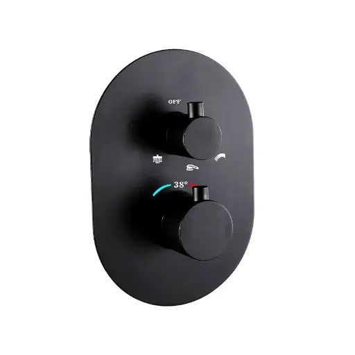 composition-mitigeur-de-douche-thermostatique-encastre-noir-brosse-chatelet.webp