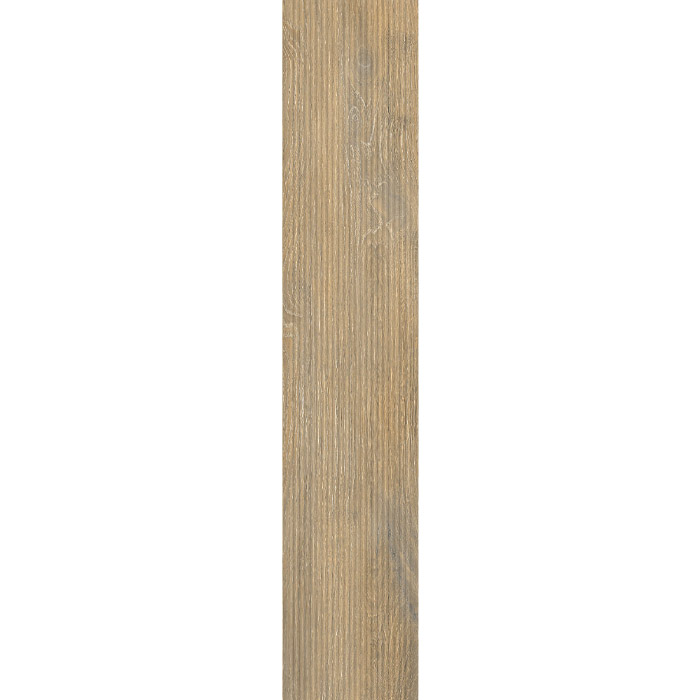 TRUNK-HONEY dec.jpg