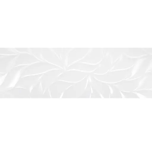 14917.webp