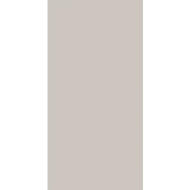 Carrelage sol et mur, 60x120 cm Four Seasons, Pumice