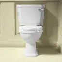 [CT8805] WC complet à poser rétro Hélène + abattant.webp