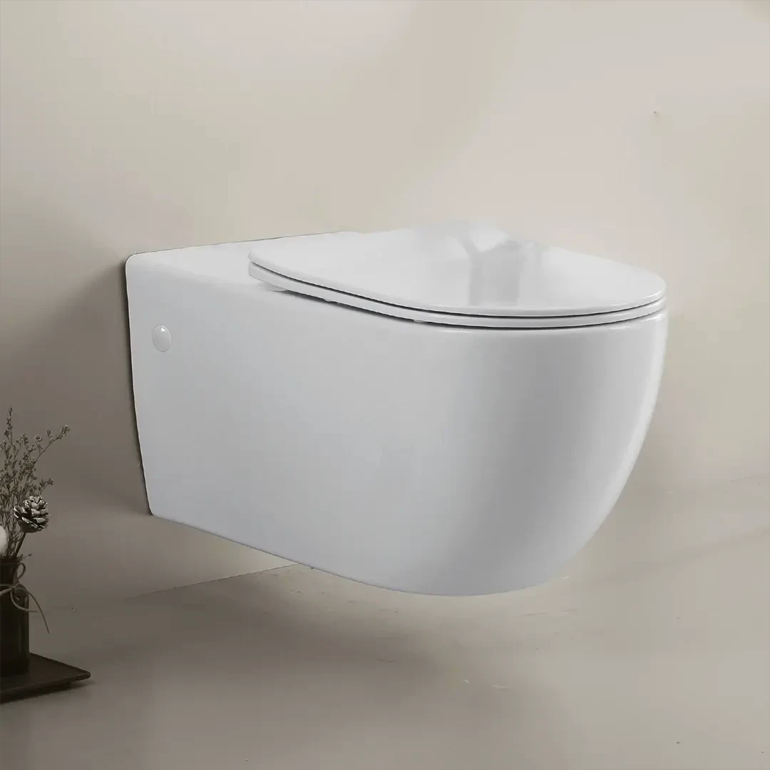WC Suspendu Personnes à mobilité réduite (PMR)