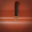 C1-GOLD-5.webp