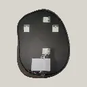 back (3).webp