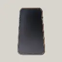 back (5).webp