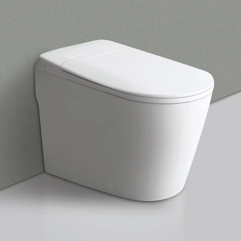 WC à poser blanc brillant à réservoir intégré, Venturi