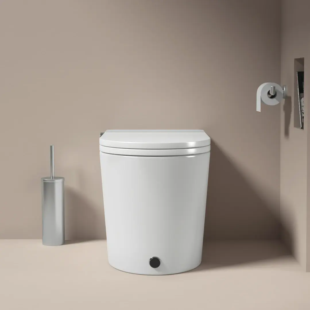 WC Japonais intelligent, E-Smart, Pose au sol