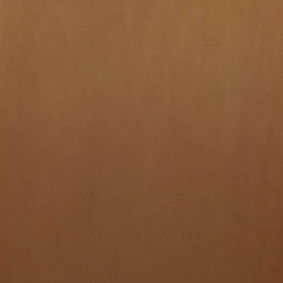 1000011109 (1).webp