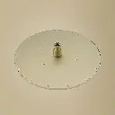 douche de tête.webp