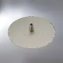 Douche de tête.webp