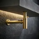 Siphon doré pov 4.webp