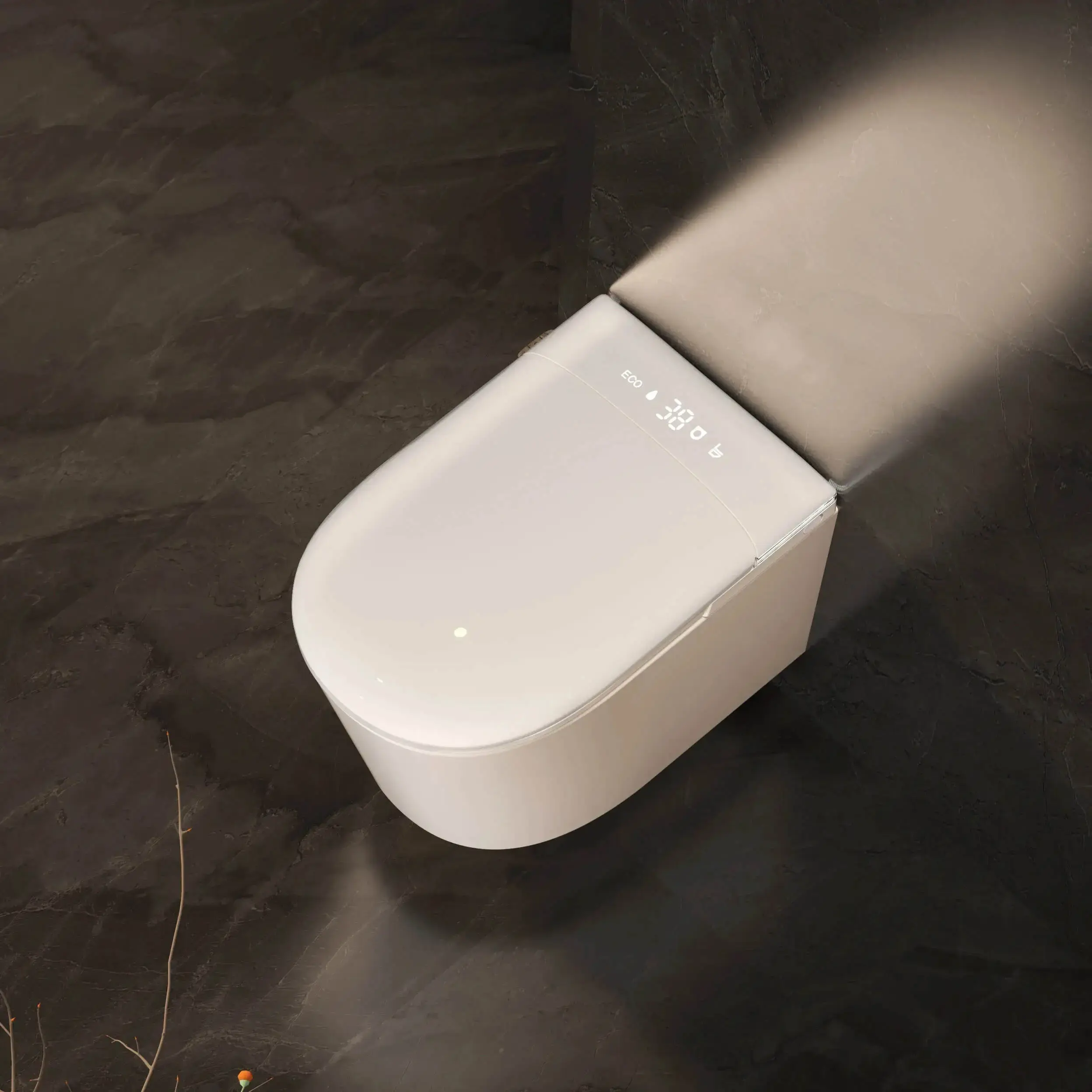 WC suspendu japonais blanc, avec bâti support, Lodge