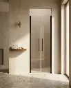 Porte de douche saloon, Sur-mesure de 58 à 95,5 cm, Noir brossé, Regia (2).webp
