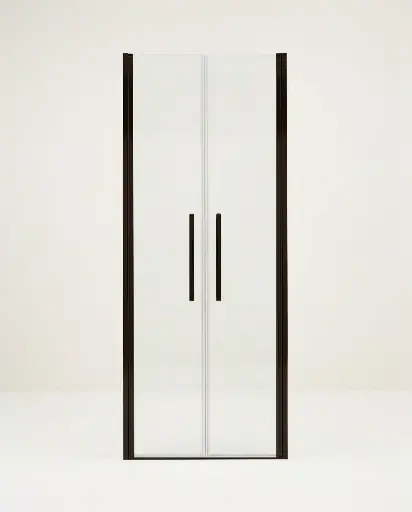 Porte de douche saloon, Sur-mesure de 58 à 95,5 cm, Noir brossé, Regia (1).webp