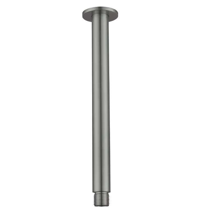 Bras de douche plafond, inox brossé.webp