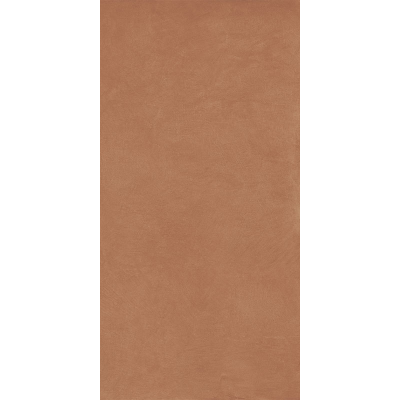 Carrelage sol et mur, 60x120 cm Argillae Terra