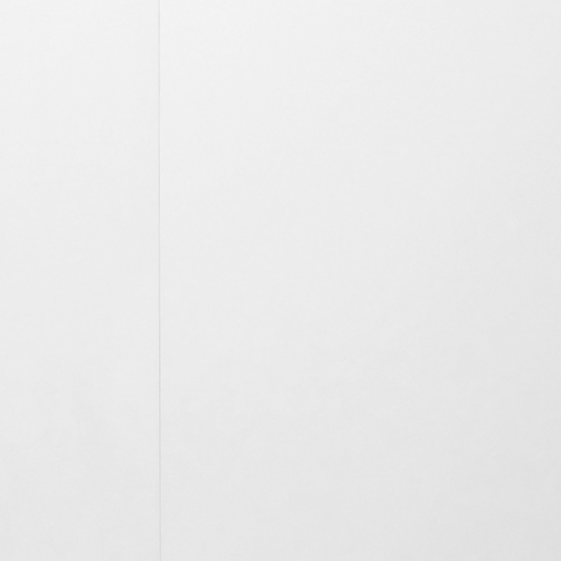 Revêtement mural 60x240 cm, blanc, B'Wall ®esin-Wood
