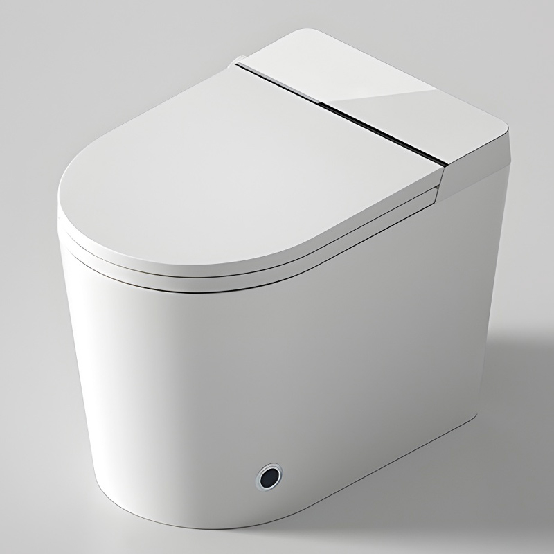 WC à poser réservoir intégré  abattant chauffant, E-flow 58 cm