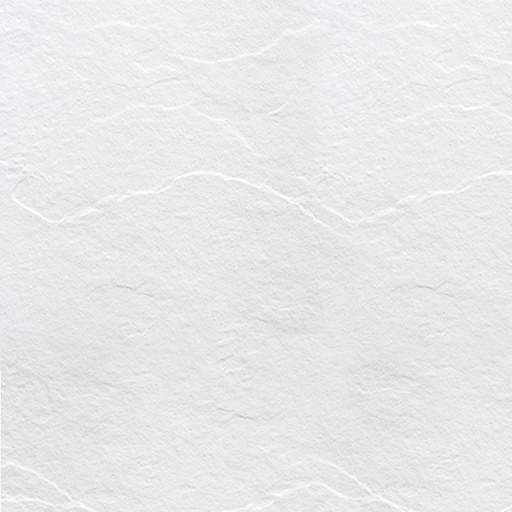 341818.jpg