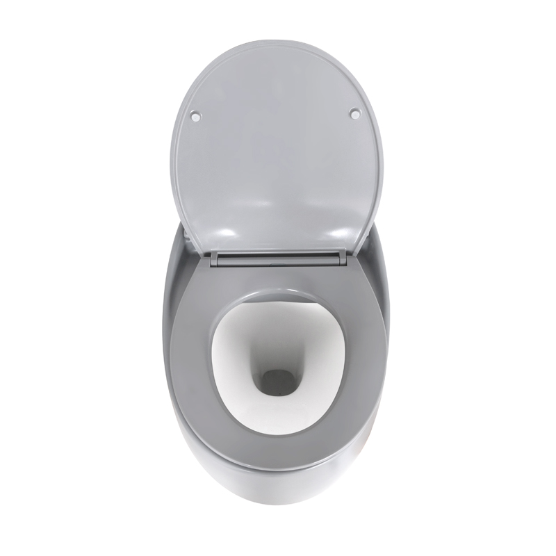 WC suspendu, gris clair mat + abattant slim, Globo