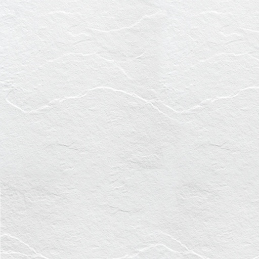 337356.jpg