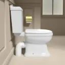 316781.jpg