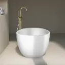 354011.jpg