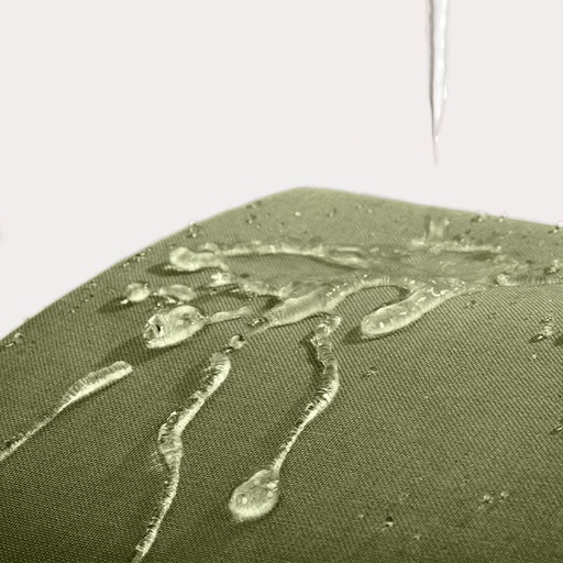 345191.jpg