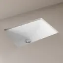 4611.jpg