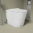 352819.jpg